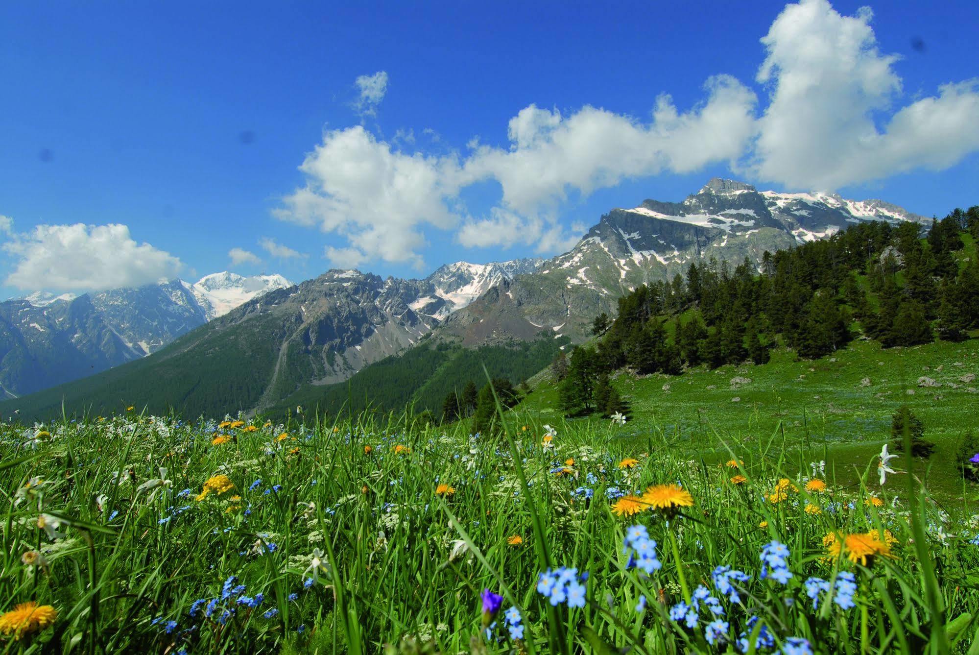 Club Vacances Bleues Les Alpes D'Azur La Salle-les-Alpes Kültér fotó